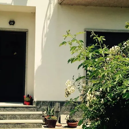 Apartment House Minou' *