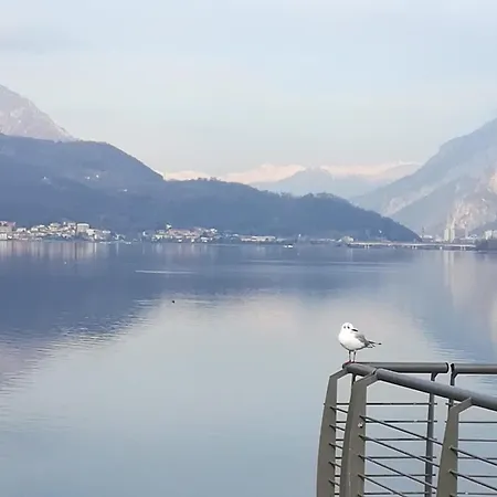 Apartment House Minou' *